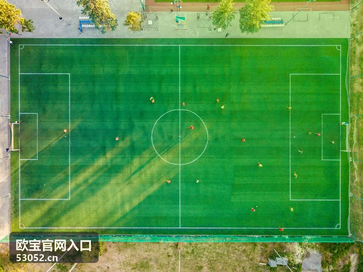 欧宝官网入口访问异常排查建议